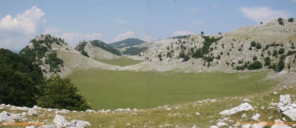 Poieni/Meadows Mehedinti Mountains